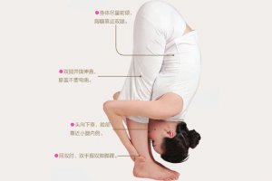 瑜伽体式-增延脊柱伸展式