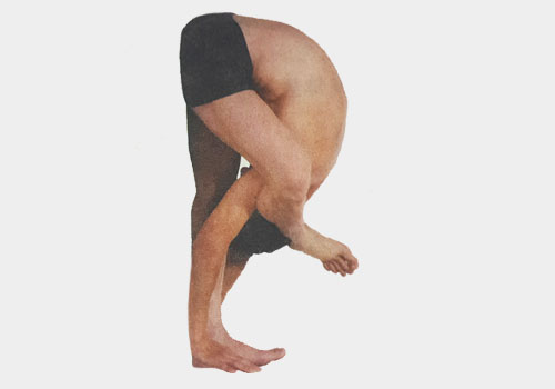 瑜伽体式-站立单足饶头前屈式