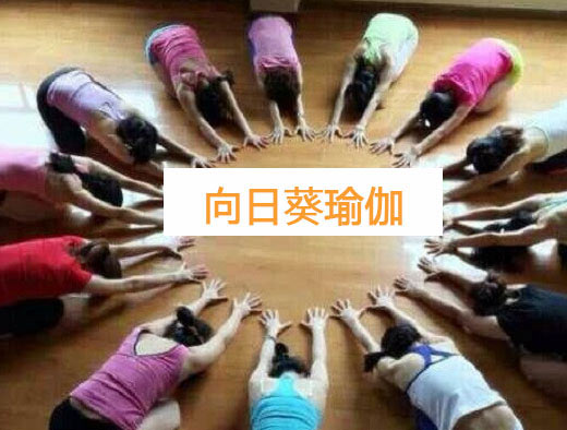 南京向日葵瑜伽会馆