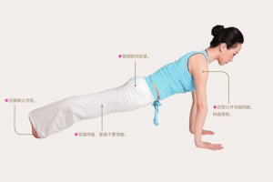 瑜伽体式-四肢撑地式