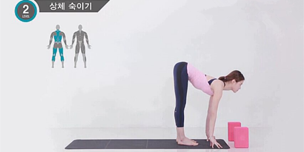 了解瑜伽动作中的肌肉群（4）