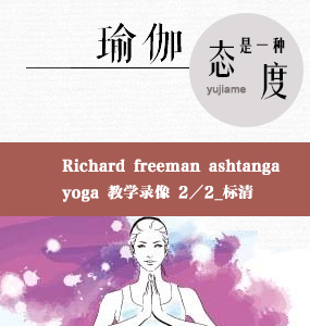 Richard freeman ashtanga yoga 教学录像 2／2_标清