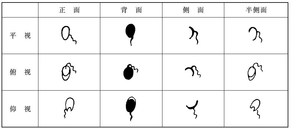 瑜伽教程,瑜伽图片,瑜伽常识,瑜伽体式