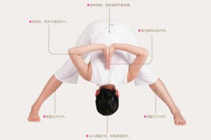 瑜伽体式-顶礼式