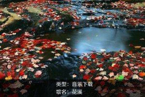 《瑜伽音乐下载》花溪
