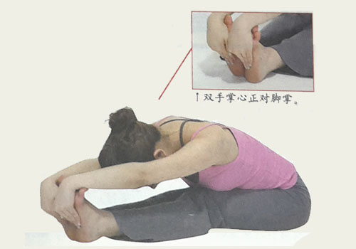 瑜伽体式-双腿背部伸展式变化式