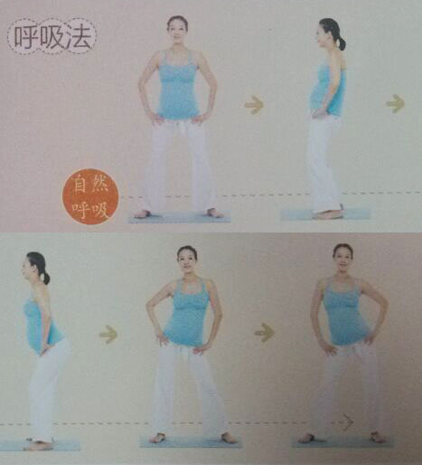 呼吸法：自然呼吸