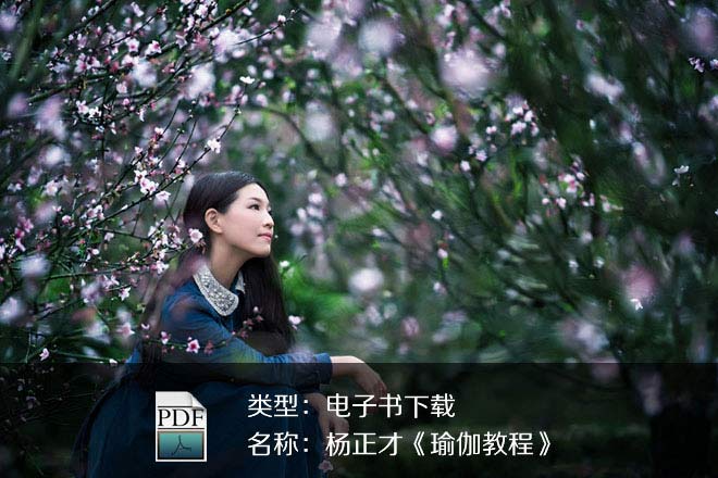 杨正才《瑜伽教程》PDF下载
