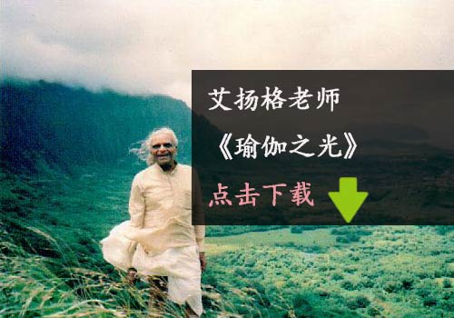 瑜伽电子书-艾扬格-瑜伽之光下载