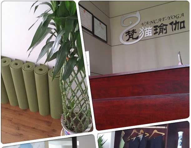 武汉梵猫瑜伽有限公司