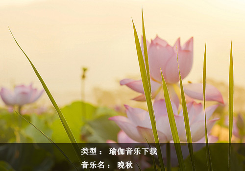 瑜伽音乐下载：一帘幽梦