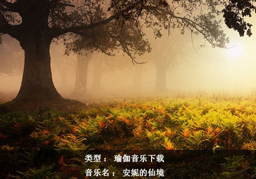 瑜伽音乐下载：安妮的仙境