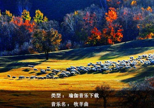 瑜伽音乐下载：牧羊曲