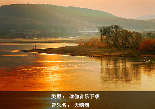 瑜伽音乐下载：天鹅湖