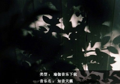 瑜伽音乐下载：知音天籁