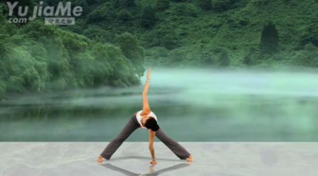 体式篇：<font color='red'>母其</font><font color='red'>弥雅</font>瑜伽视频-双角转动式