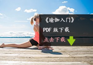 《瑜伽入门》PDF版下载