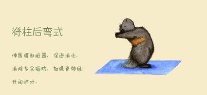 瑜伽教程,瑜伽图片,瑜伽常识,瑜伽体式