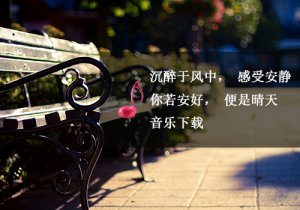 岁月静好，瑜伽音乐下载