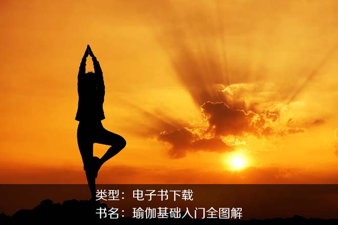 张斌《瑜伽基础入门全图解》PDF下载