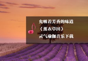 《瑜伽音乐下载》薰衣草田