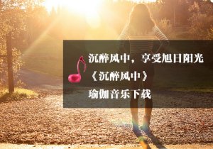 《瑜伽音乐下载》沉醉风中