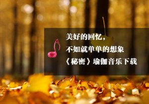 《瑜伽音乐下载》秘密