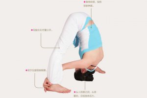 瑜伽体式-头入双脚式