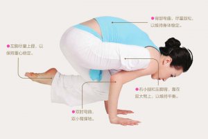 瑜伽体式-袋鼠式