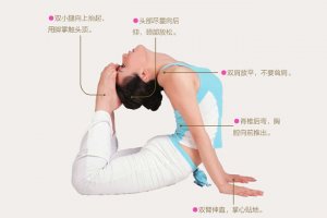 瑜伽体式-蛇王式