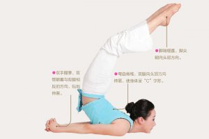 瑜伽体式-反手蝗虫式