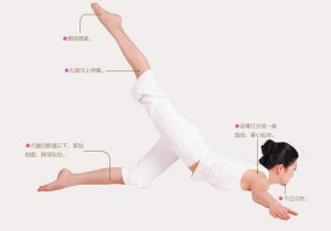 瑜伽体式-飞鸟式