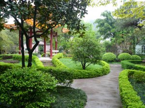 蕙兰瑜伽学习休闲活动—广州