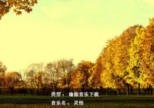 瑜伽音乐下载-灵悟