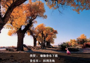 瑜伽音乐下载：回到圣地