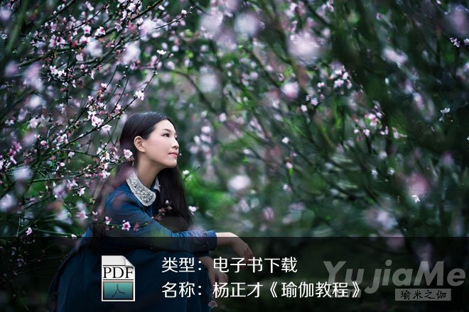 杨正才《瑜伽教程》PDF下载