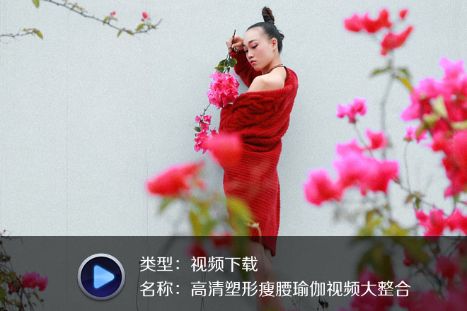 高清塑形瘦腰瑜伽视频大整合