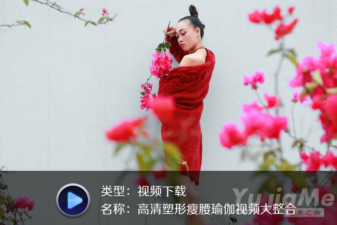 高清塑形瘦腰瑜伽视频大整合