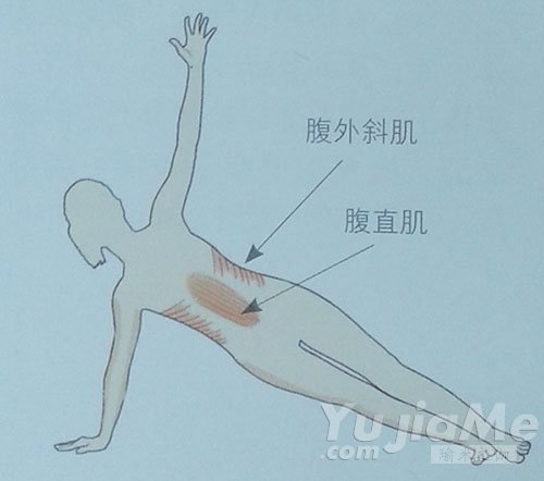 侧棒式腹横肌