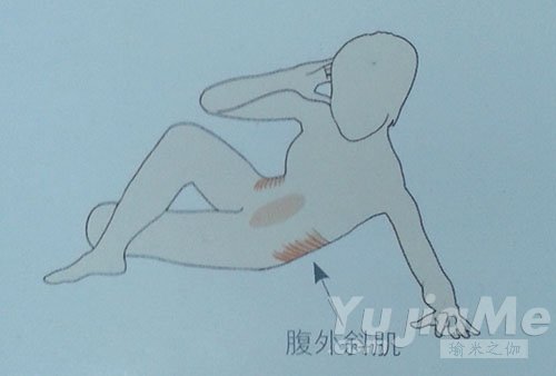 侧身仰卧起坐-腹外斜肌