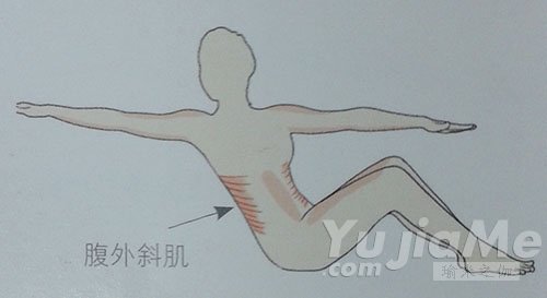 划船腹外斜肌