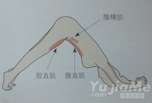 平板式的变化式动作效果