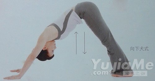 平板式的变化式替代动作2