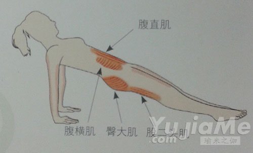 反向棒式动作效果