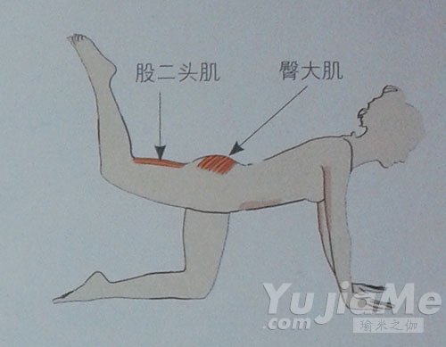 四足跪姿后抬腿-高效塑臀减肥瑜伽