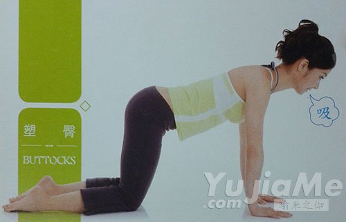 四足跪姿后抬腿1