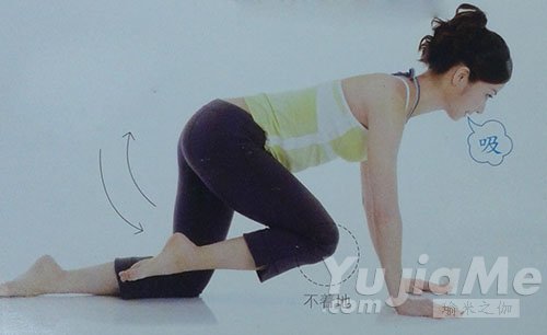 四足跪姿后抬腿3