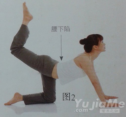 四足跪姿后抬腿错误动作2