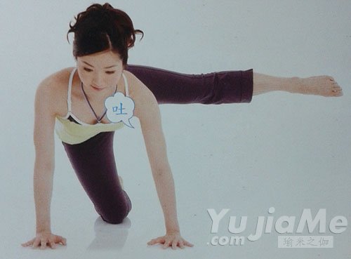 四足跪姿侧抬腿3