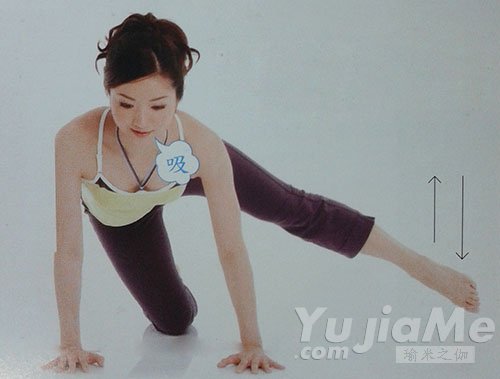四足跪姿侧抬腿4